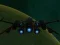 Jeu Spaceship Arena en ligne