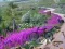 Jeu Vanishing Trail en ligne