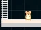 Jeu Hamster Grid Even Odd en ligne