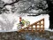 Jeu Ice Biker en ligne
