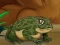 Jeu Frogs Matching en ligne