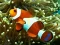 Jeu Underwater Hidden Numbers en ligne