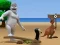 Jeu Albatross Overload en ligne