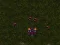 Jeu Starcraft 3 en ligne