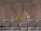 Jeu Roly-Poly Eliminator 2 en ligne