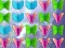 Jeu Butterfly Collector en ligne