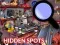 Jeu Hidden Spots In The Room en ligne
