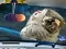Jeu Space Find The Differences en ligne