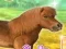 Jeu My Dear Pony en ligne