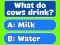 Jeu Trivia Best Family Quiz en ligne