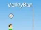 Jeu VolleyBall en ligne