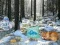 Jeu Winter Wonderland Forest Adventure en ligne
