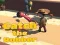 Jeu Catsh the robber en ligne