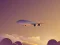 Jeu Vacation Airplanes Jigsaw en ligne