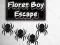 Jeu Floret Boy Escape en ligne