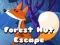 Jeu Forest hut escape en ligne