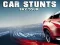 Jeu Car Stunts Sky Tour en ligne