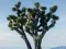 Jeu Winter Squirrel Escape en ligne