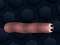 Jeu Math Slither en ligne