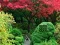 Jeu Maple Leaf Garden Escape en ligne