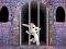 Jeu Victory Rabbit Escape en ligne