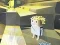 Jeu Kogama: Adventure en ligne