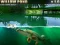 Jeu Willow Pond en ligne