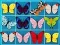 Jeu King Of Mahjong en ligne