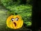 Jeu Help The Hungry Monkey en ligne