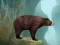 Jeu Caged Tiger Cub Escape en ligne