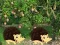 Jeu Escape From Mango Farm en ligne