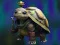 Jeu Isolated Turtle Escape en ligne