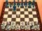 Jeu Chess Master 3D en ligne