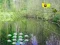 Jeu Sunlight Forest Adventure en ligne