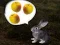 Jeu The Foggy Forest en ligne
