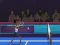 Jeu Badminton Brawl en ligne