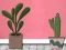 Jeu Find Houseplant en ligne