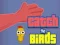 Jeu Catch the Birds en ligne