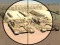 Jeu Camo Sniper en ligne