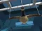 Jeu Goose Museum en ligne