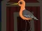 Jeu Cute Godwit Escape en ligne