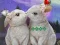 Jeu Rescue The Cupid en ligne