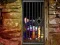 Jeu Hidden Cat Escape en ligne