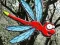 Jeu Escape From Dragonfly Forest en ligne