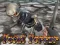 Jeu Total Terror en ligne