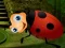 Jeu Rescue The Couple Bug en ligne