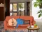 Jeu Wakeup The Grandpa en ligne