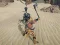 Jeu The Scythian Warrior en ligne