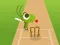 Jeu Doodle Cricket en ligne