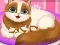 Jeu Cute Kitty Pregnant en ligne